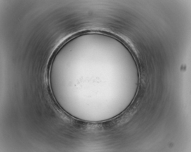 X0000096140887200802011208
