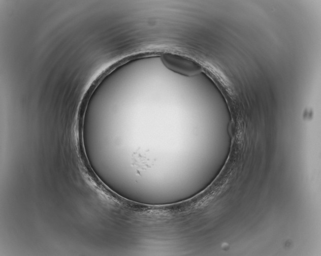 X0000096140888200802011208