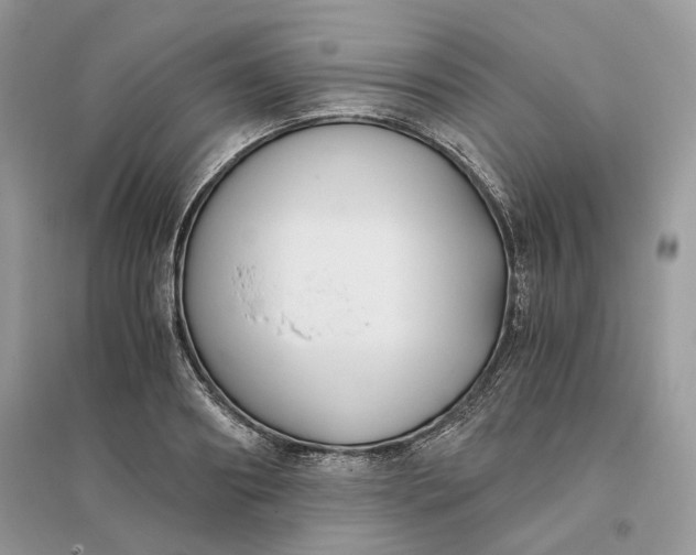 X0000096140890200802011208
