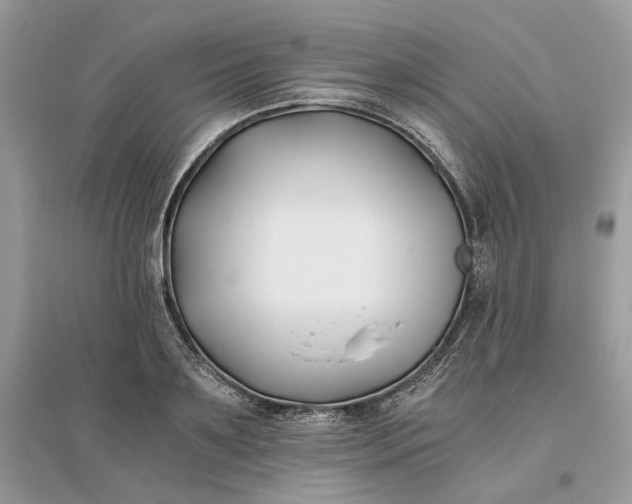X0000096140891200802011208