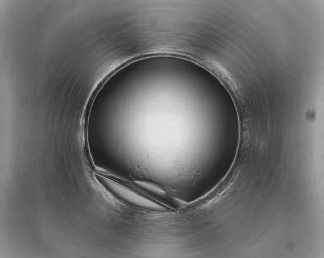 X0000096140892200802011208