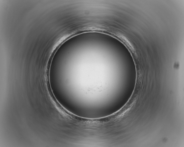 X0000096140893200802011208