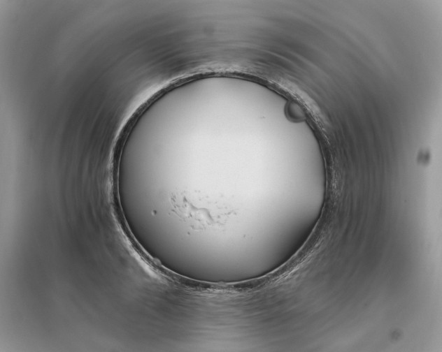X0000096140894200802011208