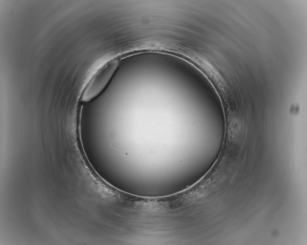X0000096140896200802011208