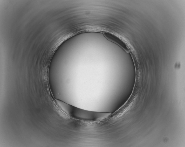 X0000096140897200802011208