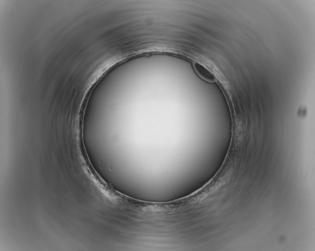 X0000096140898200802011208