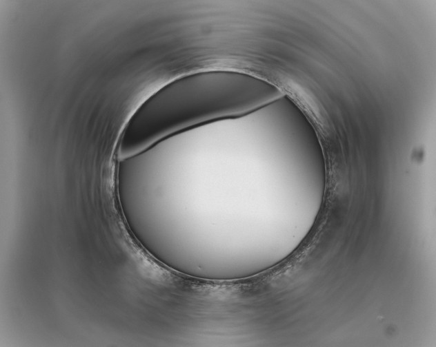 X0000096140900200802011208