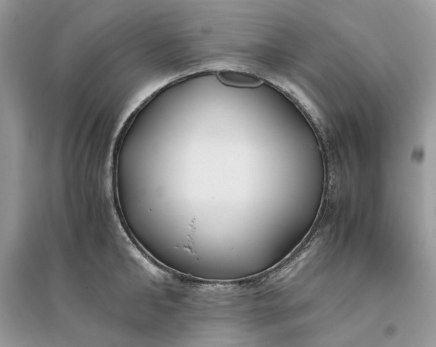 X0000096140902200802011208
