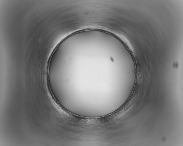 X0000096140903200802011208
