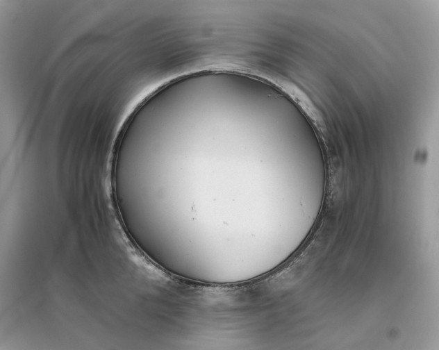 X0000096140904200802011208