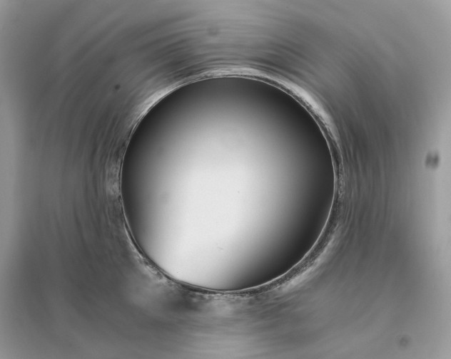 X0000096140905200802011208