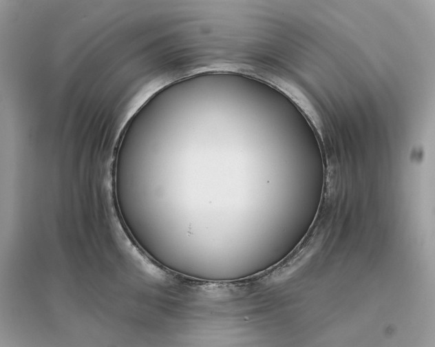 X0000096140906200802011208