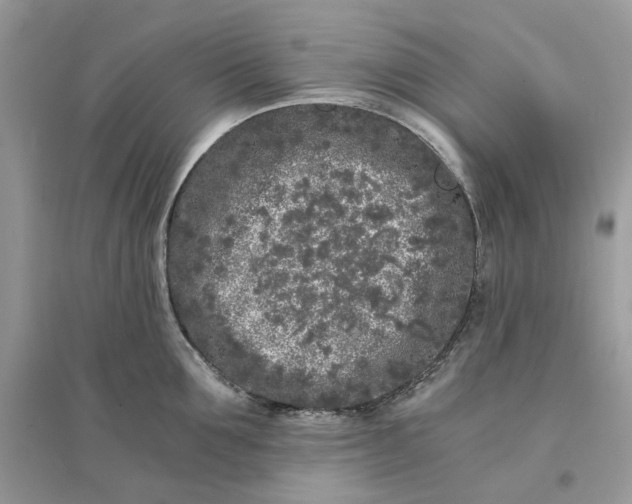 X0000096140907200802011208