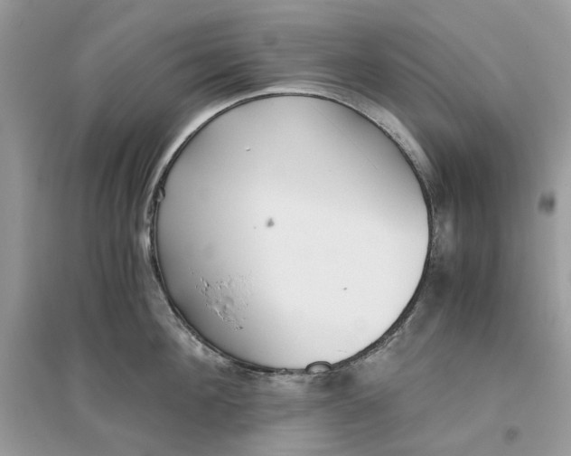 X0000096140908200802011208