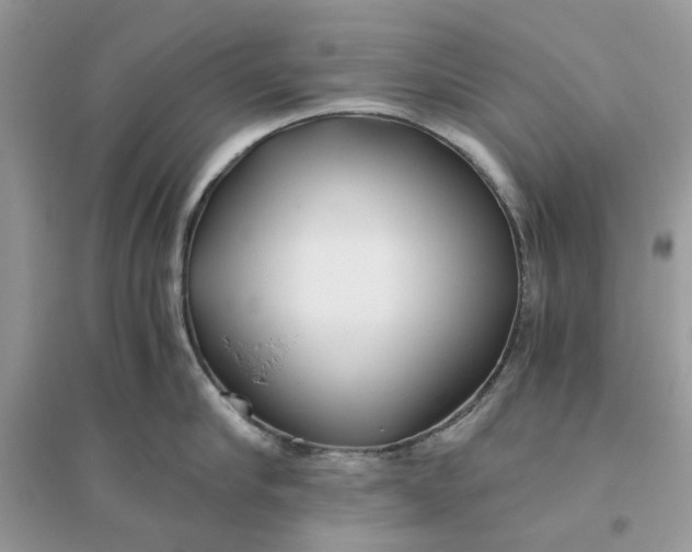 X0000096140910200802011208