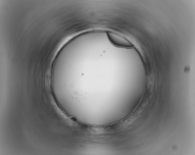 X0000096140911200802011208