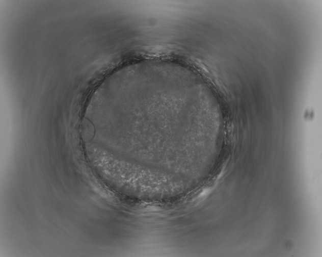 X0000096140913200802011207