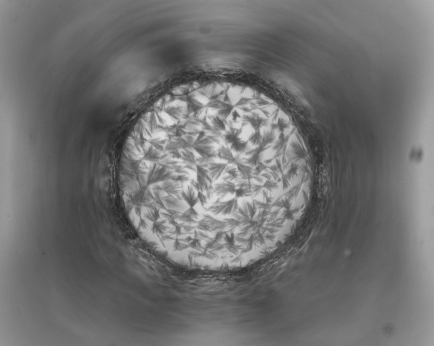X0000096140917200802011207