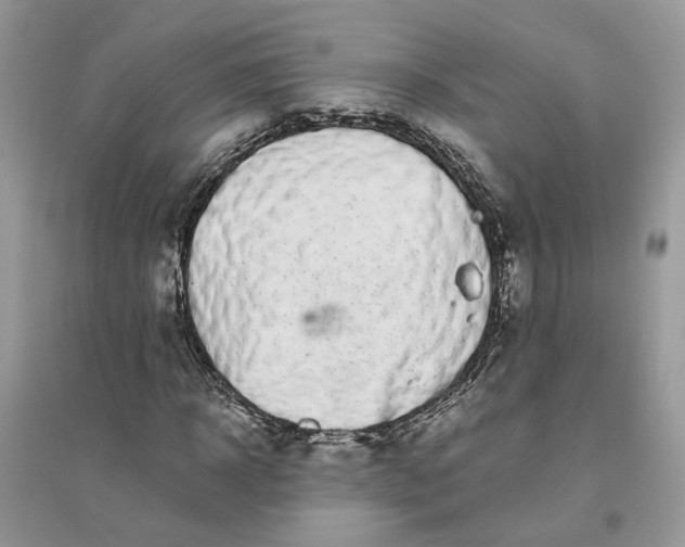 X0000096140918200802011207