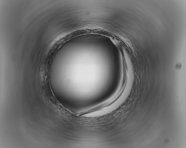 X0000096140920200802011207