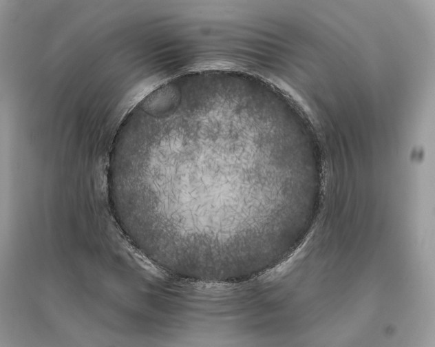 X0000096140921200802011207
