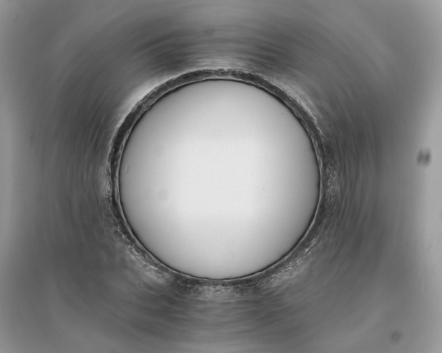 X0000096140927200802011207