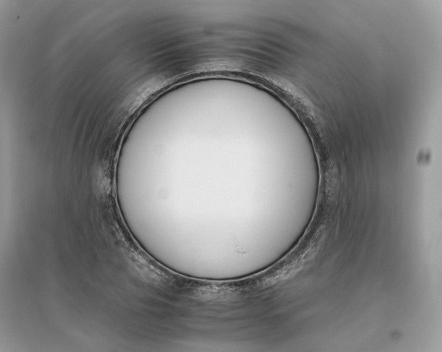 X0000096140929200802011207