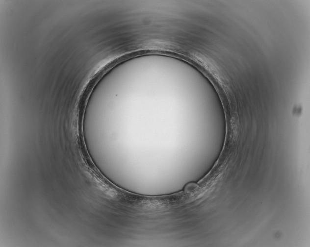 X0000096140931200802011207