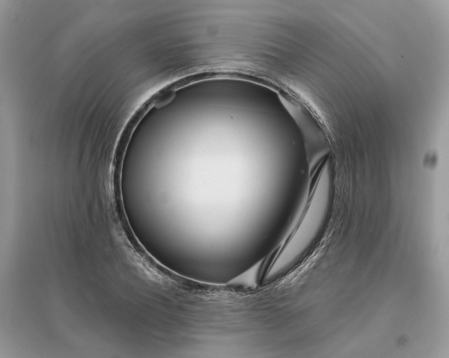 X0000096140932200802011207