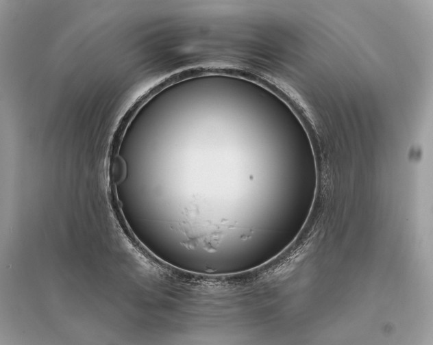 X0000096140935200802011207