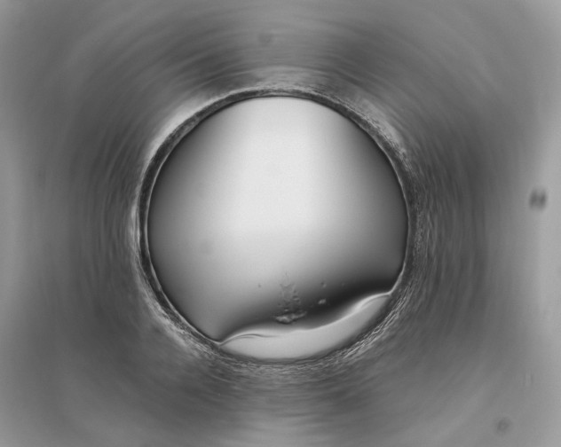 X0000096140936200802011207