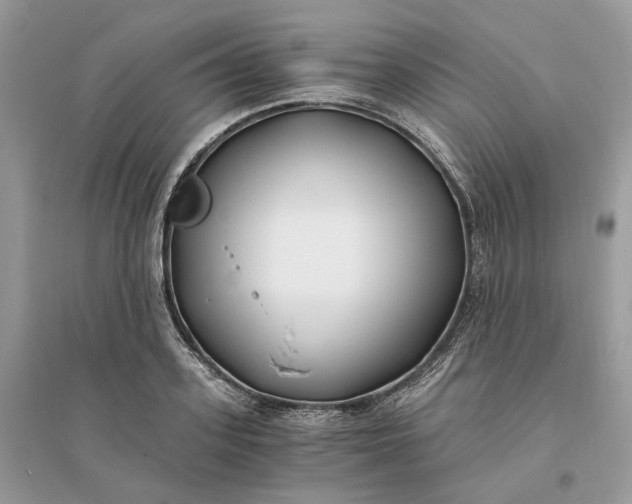 X0000096140939200802011207