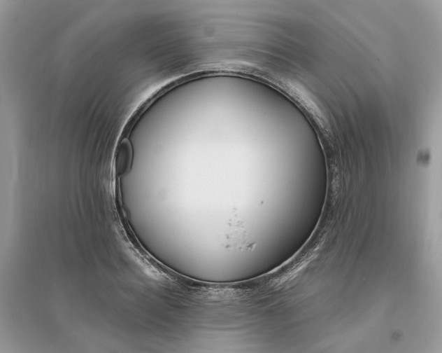 X0000096140940200802011207