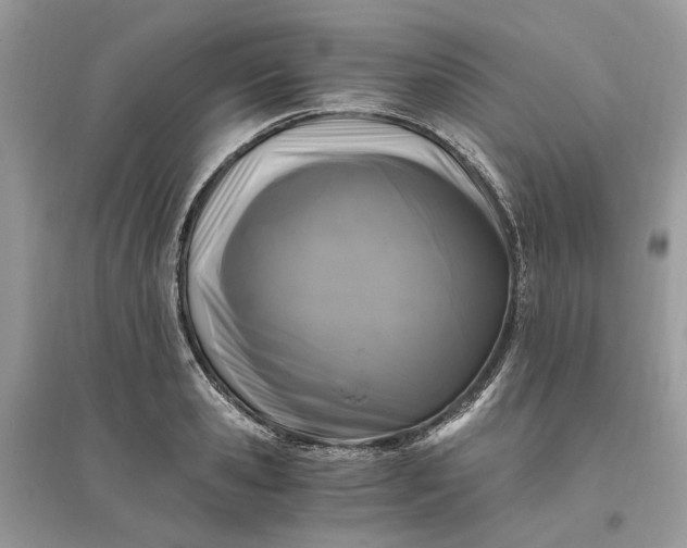 X0000096140941200802011207