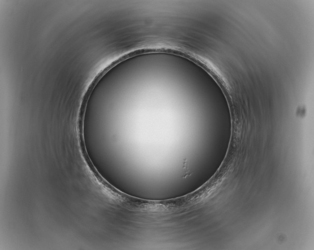 X0000096140943200802011207