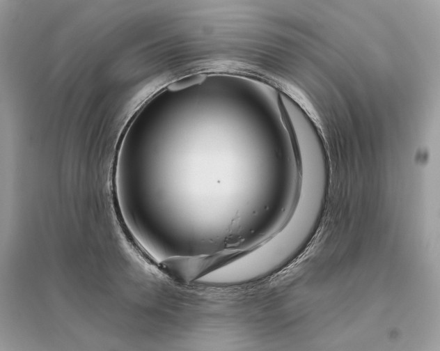 X0000096140946200802011207