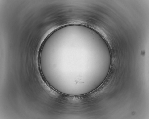 X0000096140947200802011207