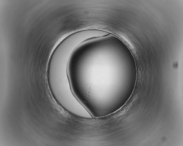 X0000096140948200802011207