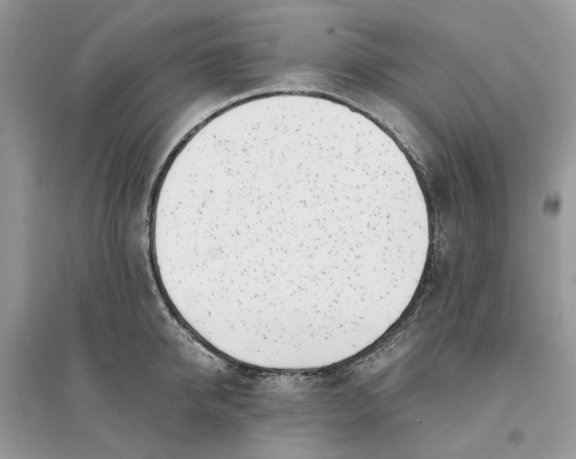 X0000096140950200802011207
