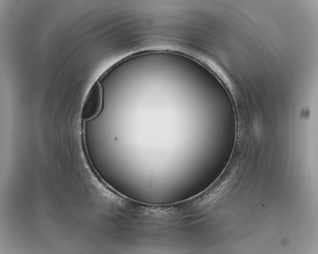 X0000096140951200802011207