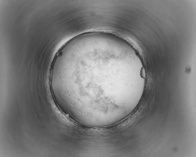 X0000096140952200802011207