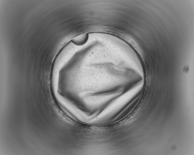 X0000096140954200802011207