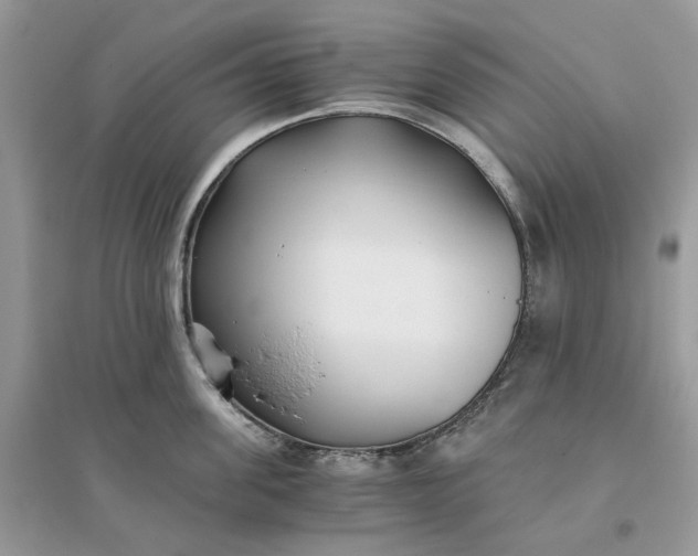 X0000096140955200802011207