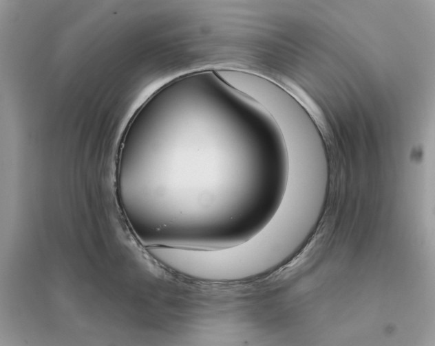 X0000096140956200802011207