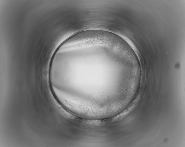 X0000096140957200802011208
