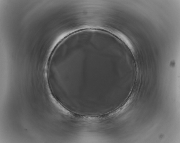 X0000096140958200802011208