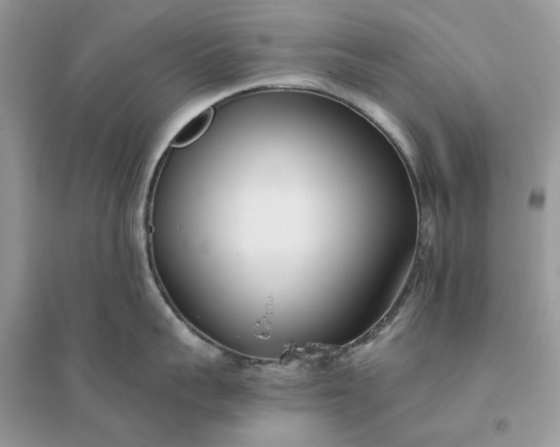 X0000096140959200802011208