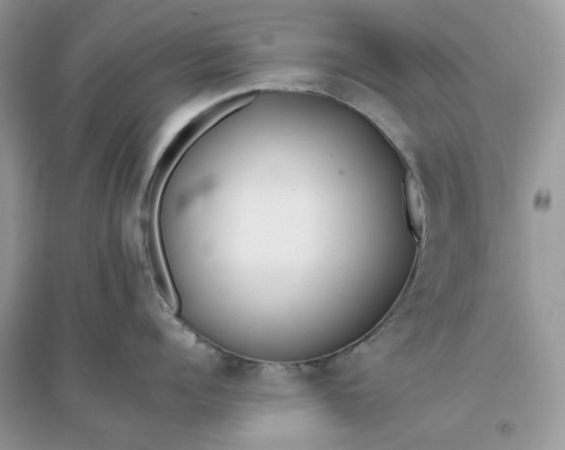X0000096140960200802011208