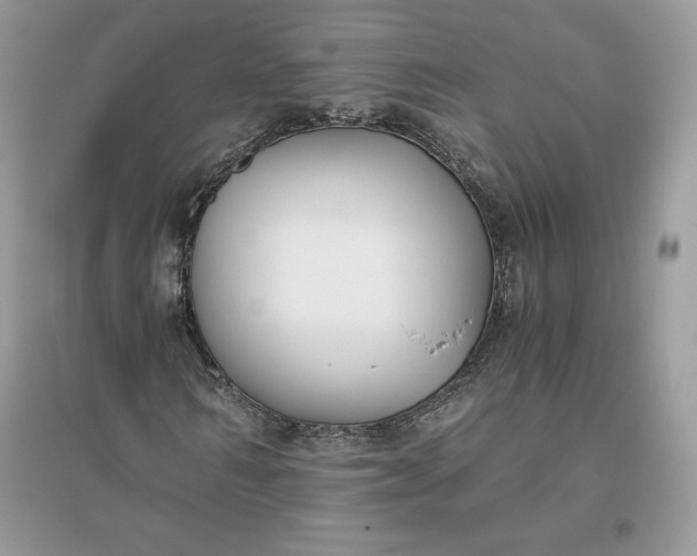 X0000096140962200802011207