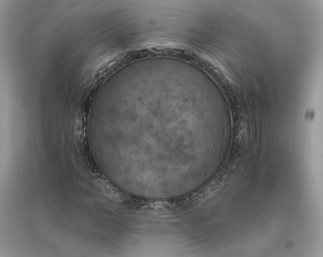 X0000096140966200802011207